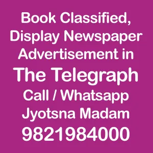 book  the Telegraph  ad  newaspaper in  online